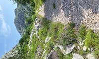 20230622_094712.jpg