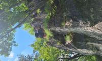 20240615_134634.jpg