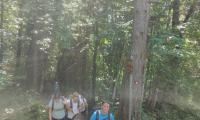 IMG20260614102300.jpg