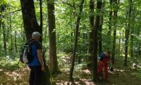 IMG_20260704_100548.jpg