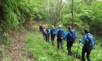 DSC08414.jpg