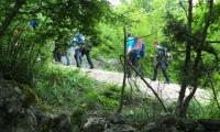 DSC08428.jpg