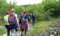 DSC08438.jpg