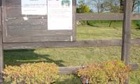 DSC07867.jpg
