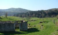 DSC07869.jpg
