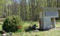DSC07937.jpg