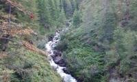 20200905_090028.jpg