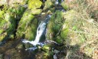 IMG13.jpg